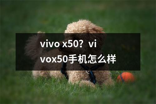 vivo x50？vivox50手机怎么样