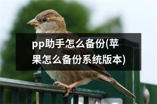 pp助手怎么备份(苹果怎么备份系统版本)