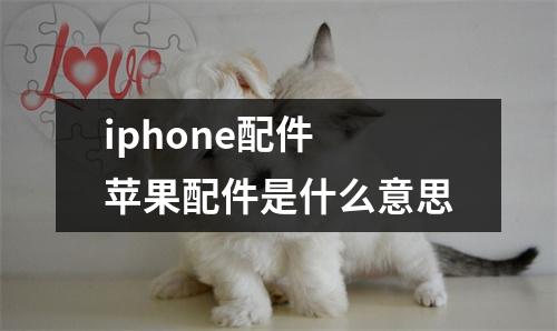 iphone配件 苹果配件是什么意思