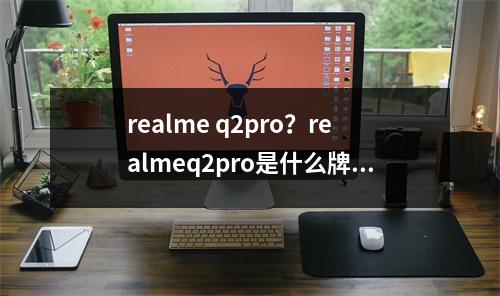 realme q2pro？realmeq2pro是什么牌子的手机
