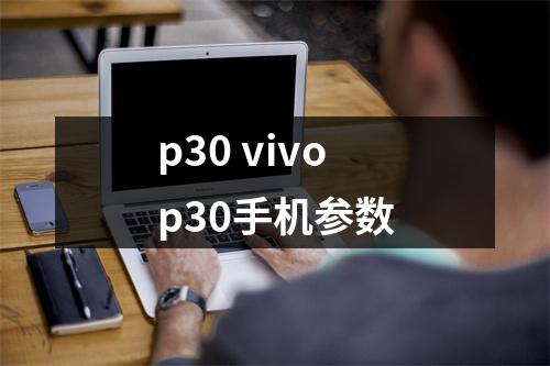 p30 vivop30手机参数