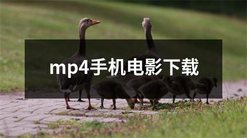 mp4手机电影下载