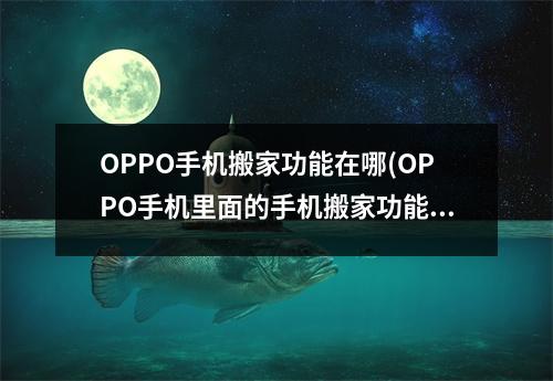 OPPO手机搬家功能在哪(OPPO手机里面的手机搬家功能怎么使用)