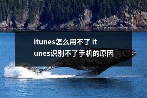 itunes怎么用不了 itunes识别不了手机的原因