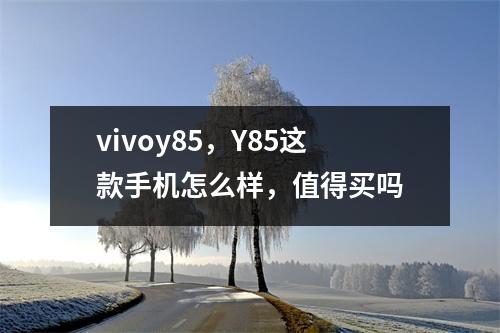vivoy85，Y85这款手机怎么样，值得买吗