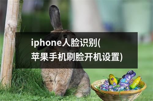 iphone人脸识别(苹果手机刷脸开机设置)