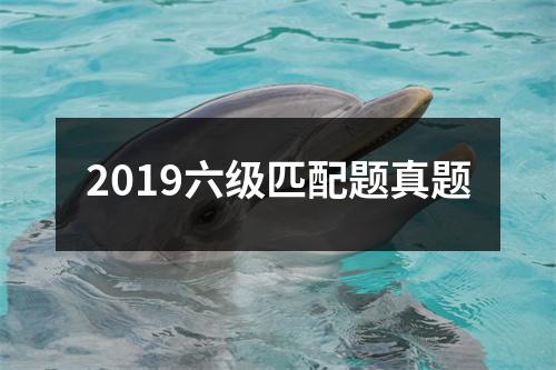 2019六级匹配题真题
