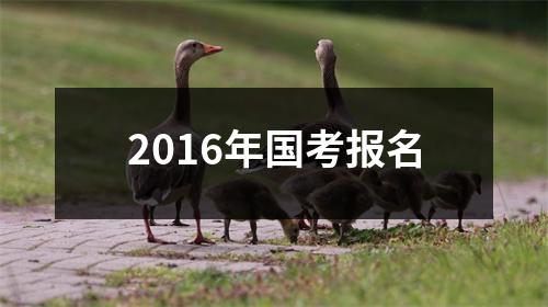 2016年国考报名