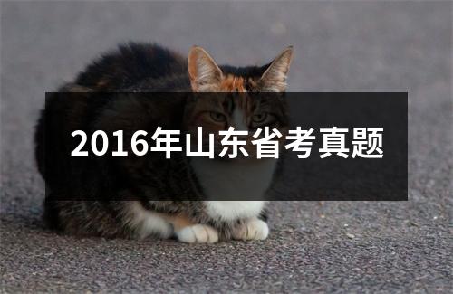 2016年山东省考真题