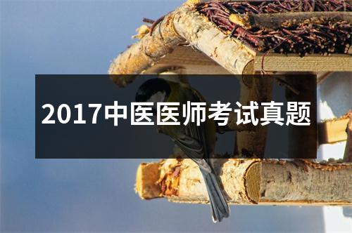 2017中医医师考试真题