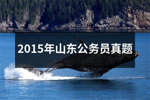 2015年山东公务员真题
