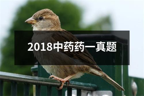 2018中药药一真题