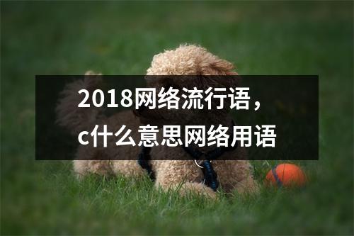 2018网络流行语，c什么意思网络用语