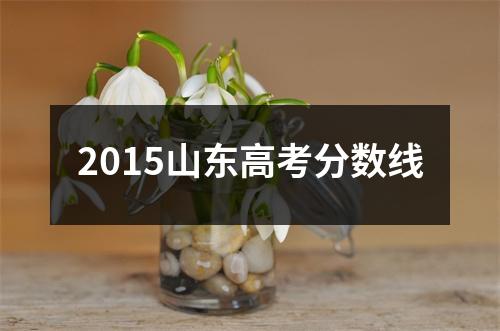 2015山东高考分数线