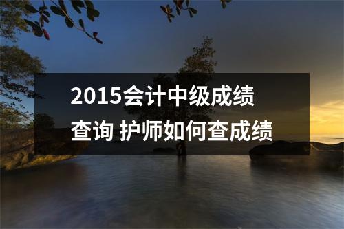 2015会计中级成绩查询 护师如何查成绩