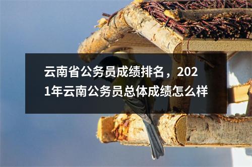 云南省公务员成绩排名，2021年云南公务员总体成绩怎么样