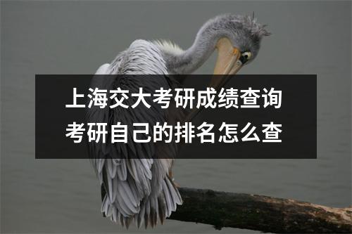 上海交大考研成绩查询 考研自己的排名怎么查