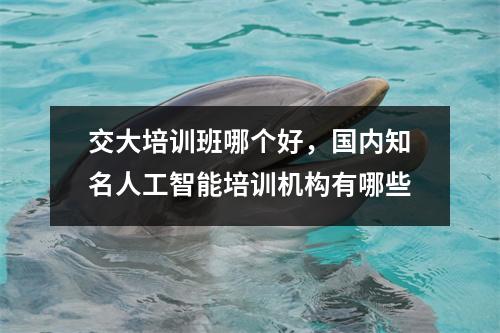 交大培训班哪个好，国内知名人工智能培训机构有哪些