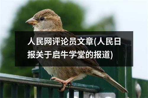 人民网评论员文章(人民日报关于启牛学堂的报道)