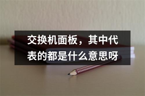 交换机面板，其中代表的都是什么意思呀