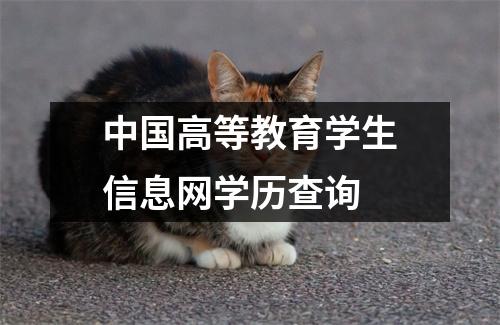 中国高等教育学生信息网学历查询