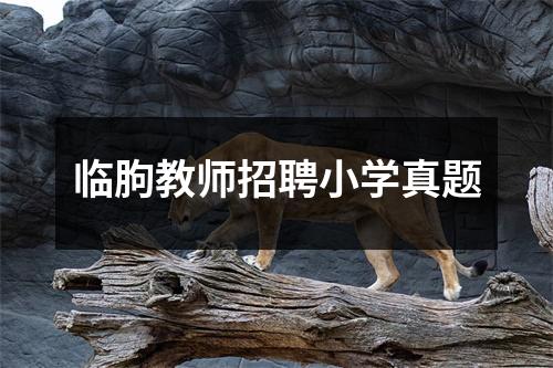 临朐教师招聘小学真题