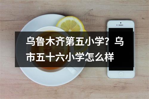 乌鲁木齐第五小学？乌市五十六小学怎么样