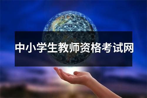 中小学生教师资格考试网
