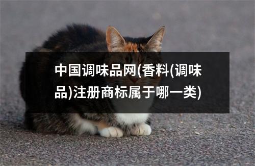 中国调味品网(香料(调味品)注册商标属于哪一类)