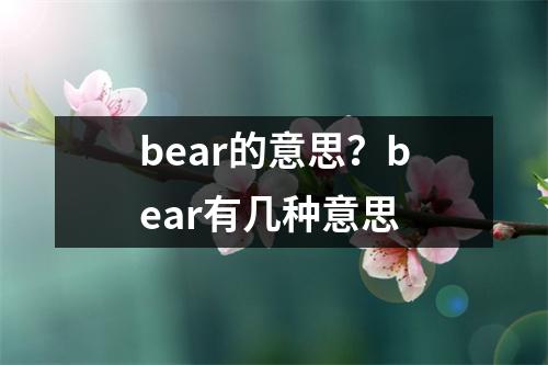 bear的意思？bear有几种意思