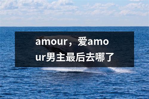 amour，爱amour男主最后去哪了