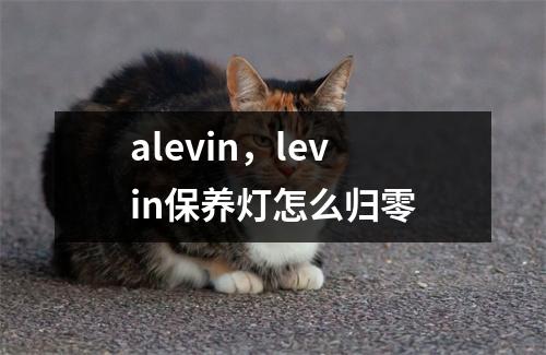 alevin，levin保养灯怎么归零