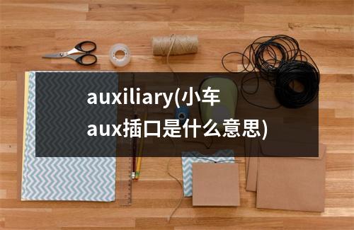 auxiliary(小车aux插口是什么意思)