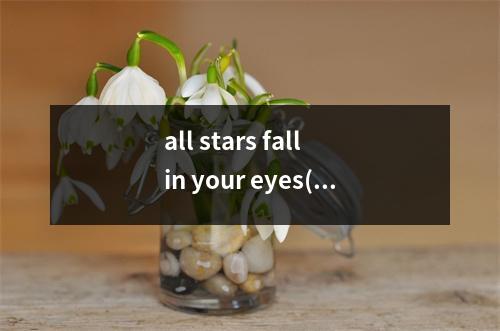 all stars fall in your eyes(英语dreamitpassible什么意思)