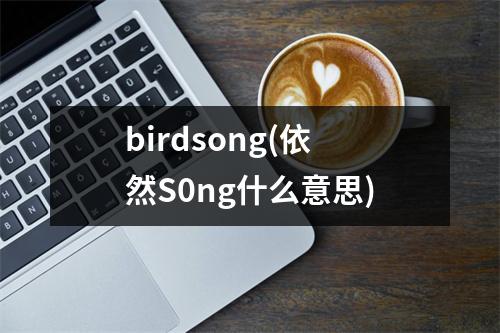 birdsong(依然S0ng什么意思)