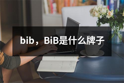 bib，BiB是什么牌子
