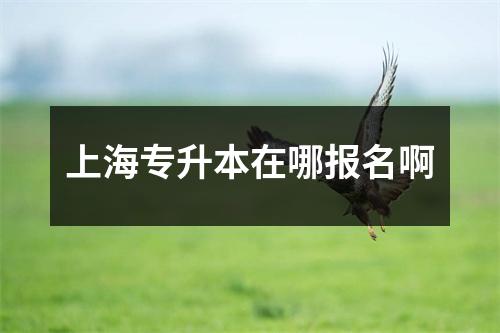 上海专升本在哪报名啊
