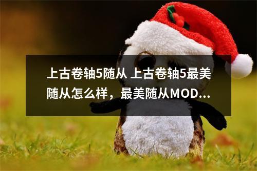 上古卷轴5随从 上古卷轴5最美随从怎么样，最美随从MOD下载