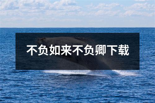 不负如来不负卿下载