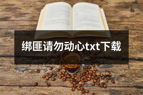绑匪请勿动心txt下载