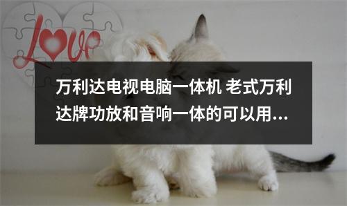 万利达电视电脑一体机 老式万利达牌功放和音响一体的可以用无线话筒