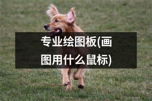 专业绘图板(画图用什么鼠标)