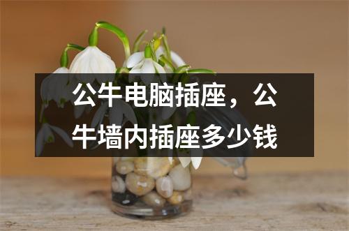 公牛电脑插座，公牛墙内插座多少钱