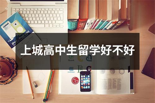 上城高中生留学好不好