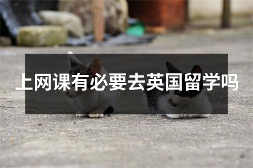 上网课有必要去英国留学吗