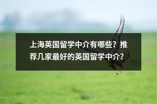 上海英国留学中介有哪些？推荐几家最好的英国留学中介？