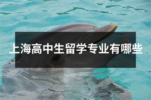 上海高中生留学专业有哪些