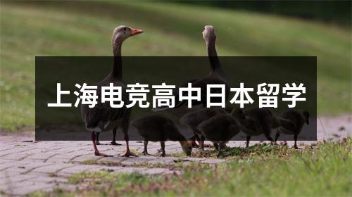 上海电竞高中日本留学
