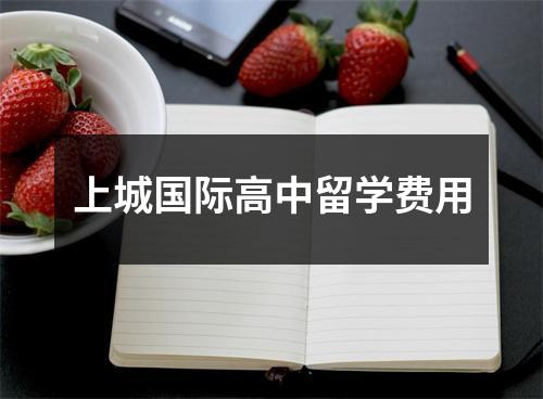 上城国际高中留学费用