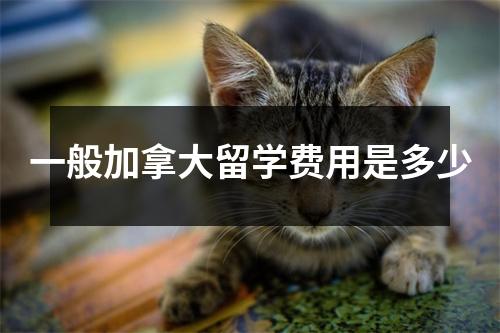 一般加拿大留学费用是多少